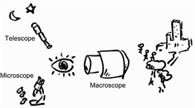 Conceptual Analysis on the Way Brazilian Cities Work: A Macroscope View